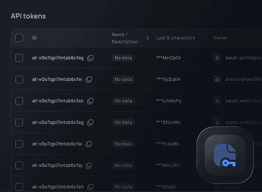 Screenshot of API token reports