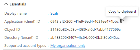Azure App Registration essentials section with application IDs
